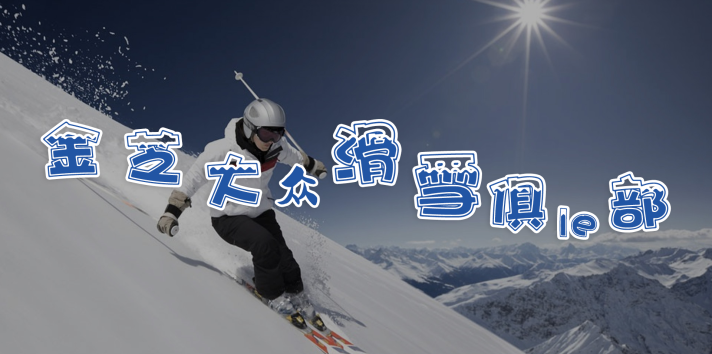 金芝滑雪公司简介