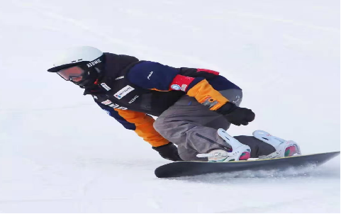 主教练简介-金子